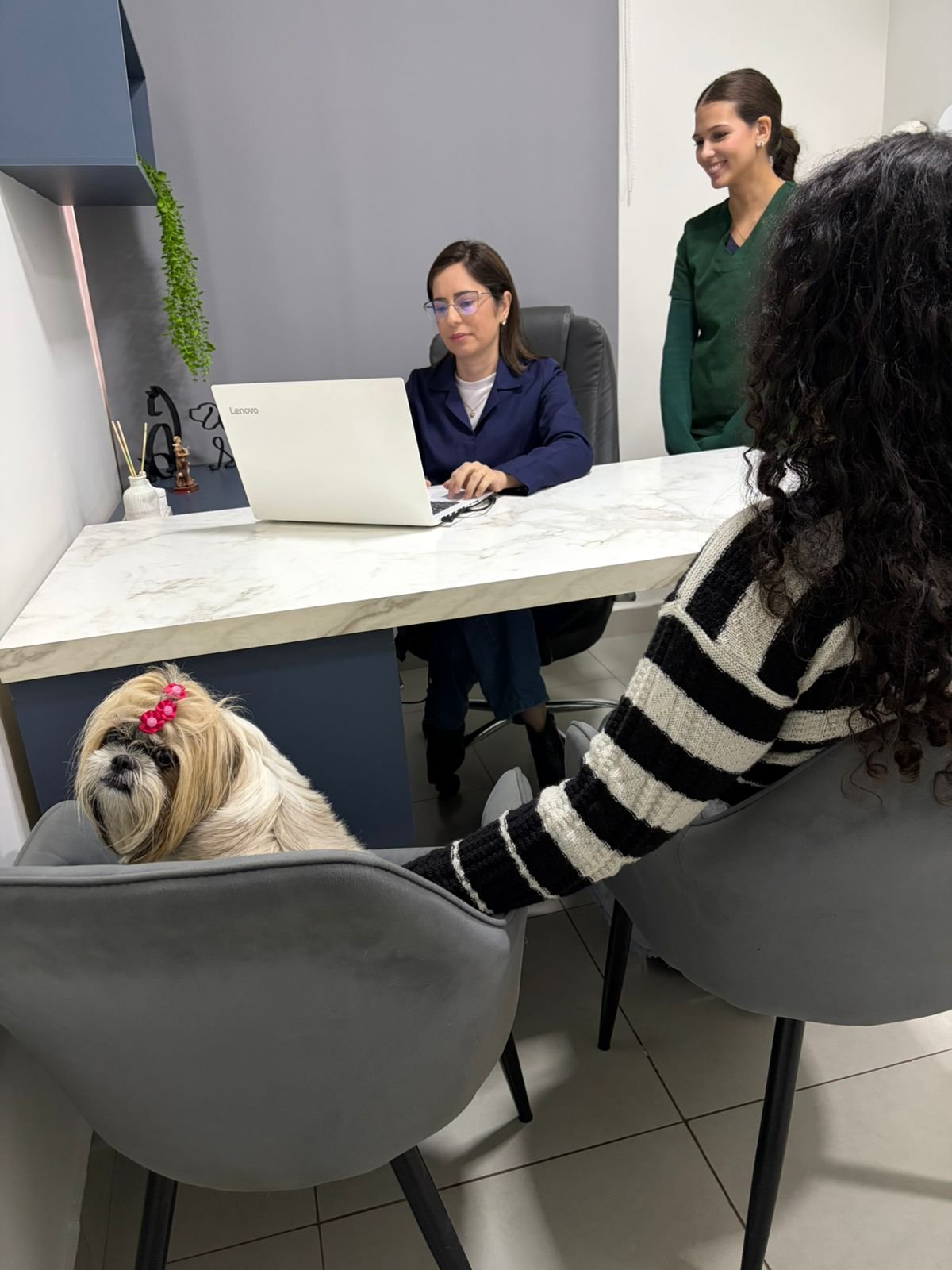 Atendimento Humanizado - Cuidado e empatia na Vets Centro Veterinário 24h